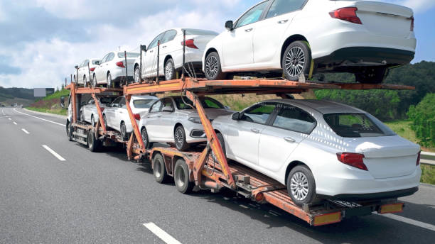 A car carrier truck from FL Auto Transport Clearwater transports several new white sedans on a highway, with trees and blue sky in the background.