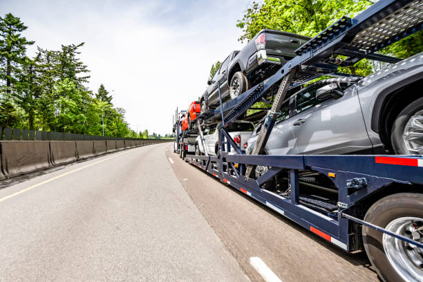 A car carrier truck, part of an FL Car Shipping Clearwater, FL fleet, transports multiple vehicles down a highway lined with trees and a concrete barrier on a clear day.